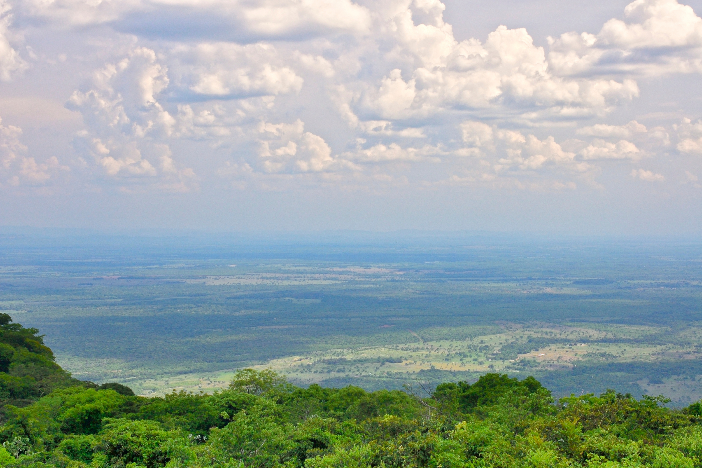 Araras_Pantanal_Eco_Lodge[1].webp